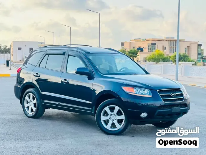 Hyundai Santa Fe 2009 photo 2