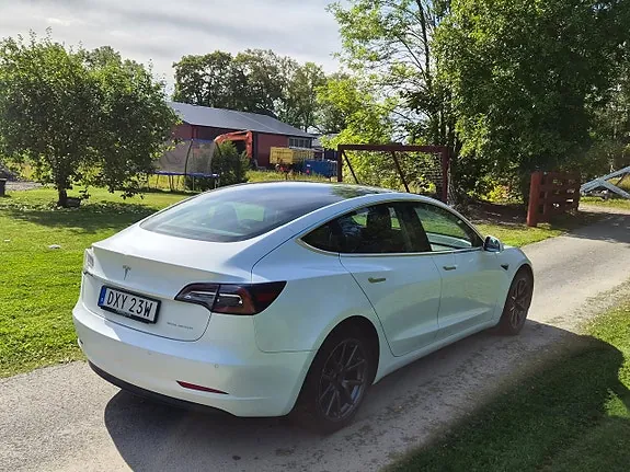Tesla Model 3 2020 photo 5