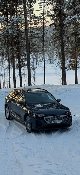 Audi Q8 E-Tron