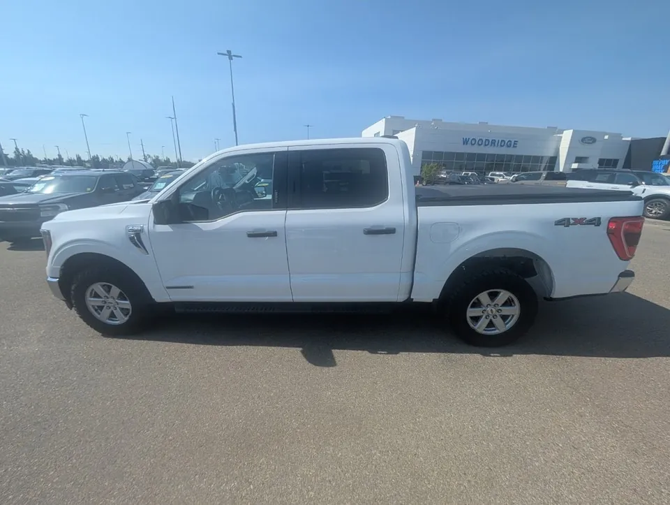 Ford F-150 2023 photo 4