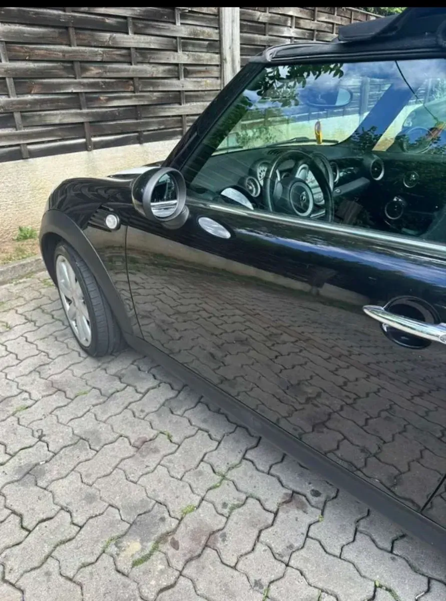Mini Cabrio 2010 photo 3