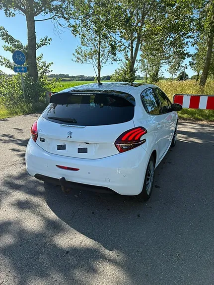 Peugeot 208 2019 photo 2
