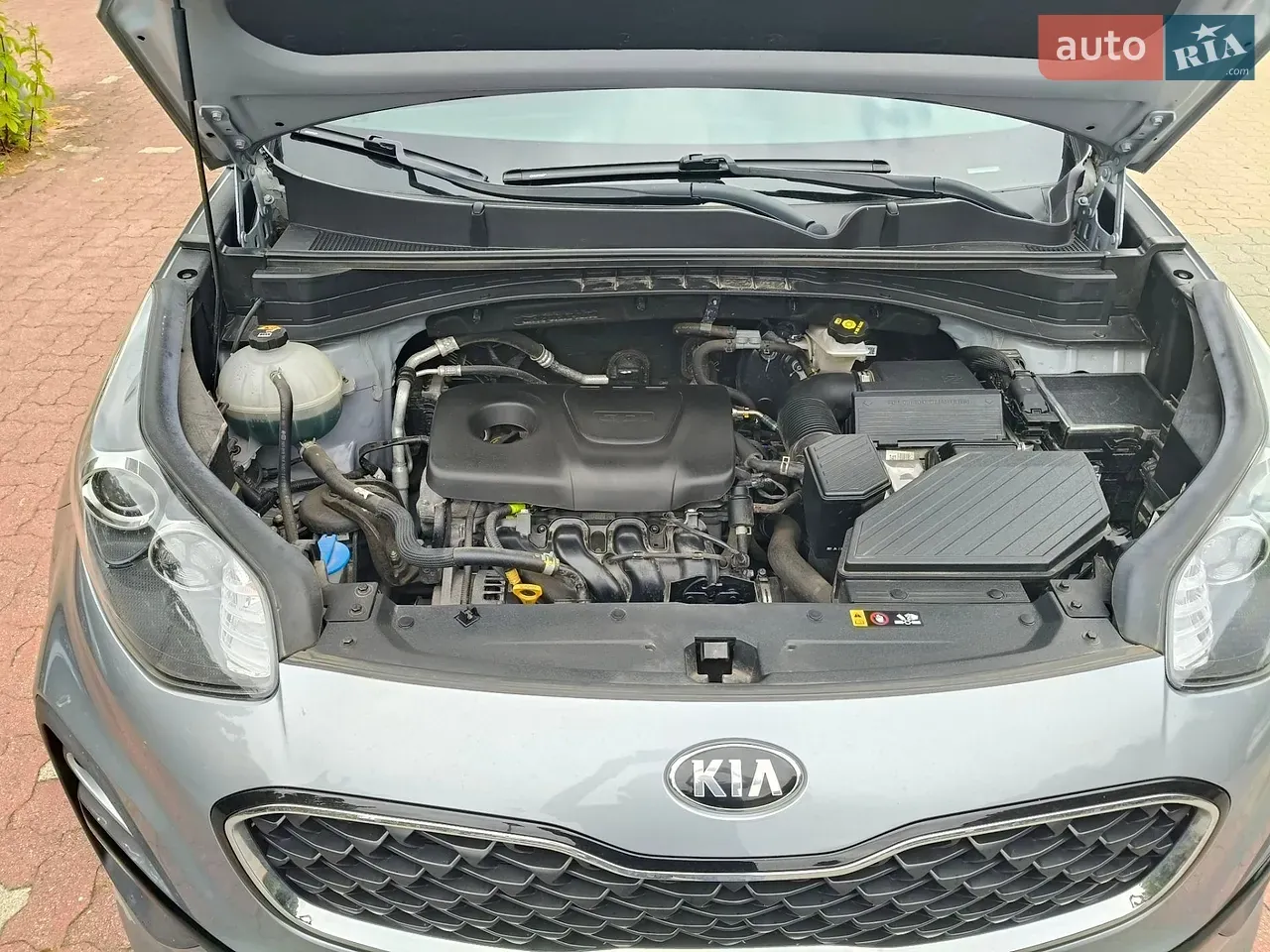 Kia Sportage 2021 photo 2