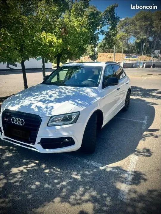 Audi Sq5 2016 photo 2