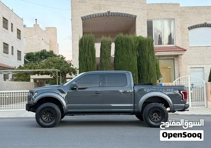 Ford F-150 2019 photo 5