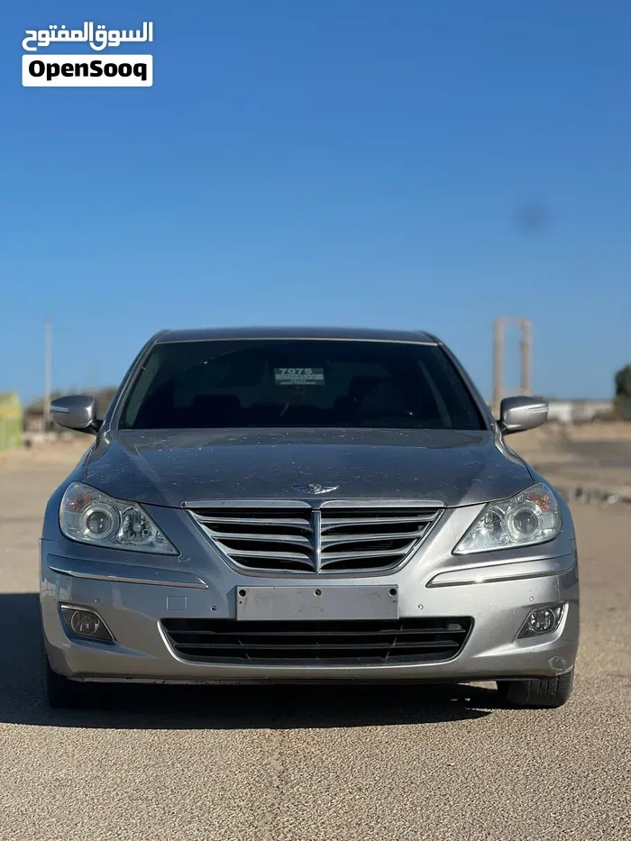 Genesis Sonata
