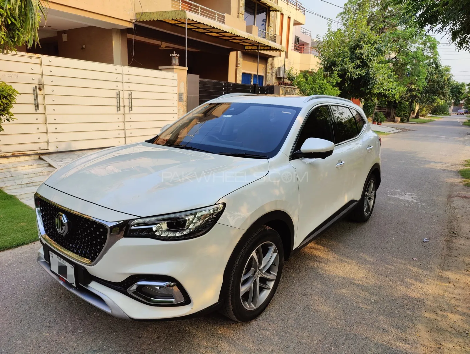 MG Hs