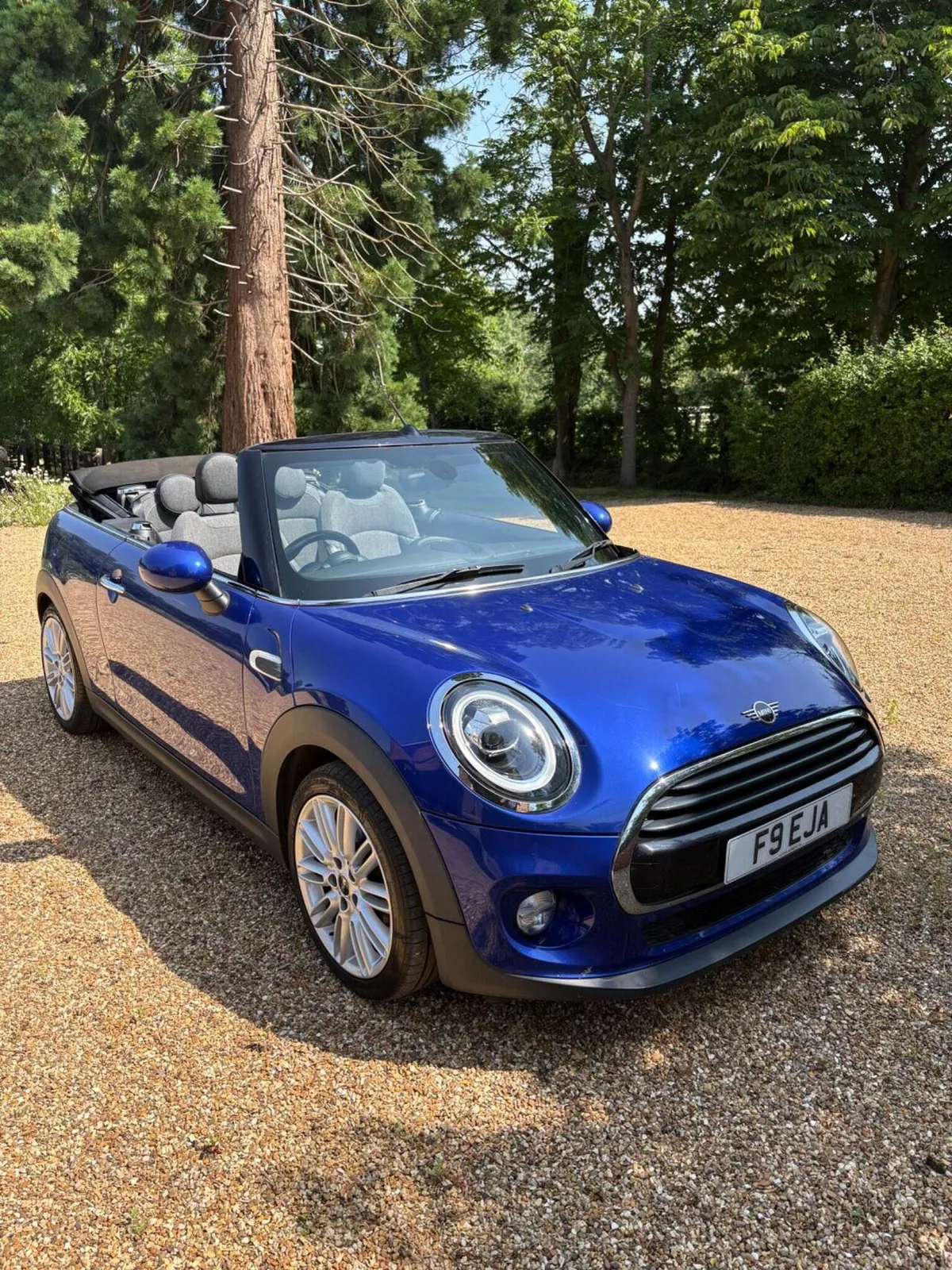 Mini Convertible
