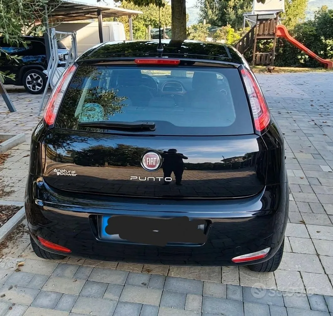 Fiat Punto Evo 2012 photo 3