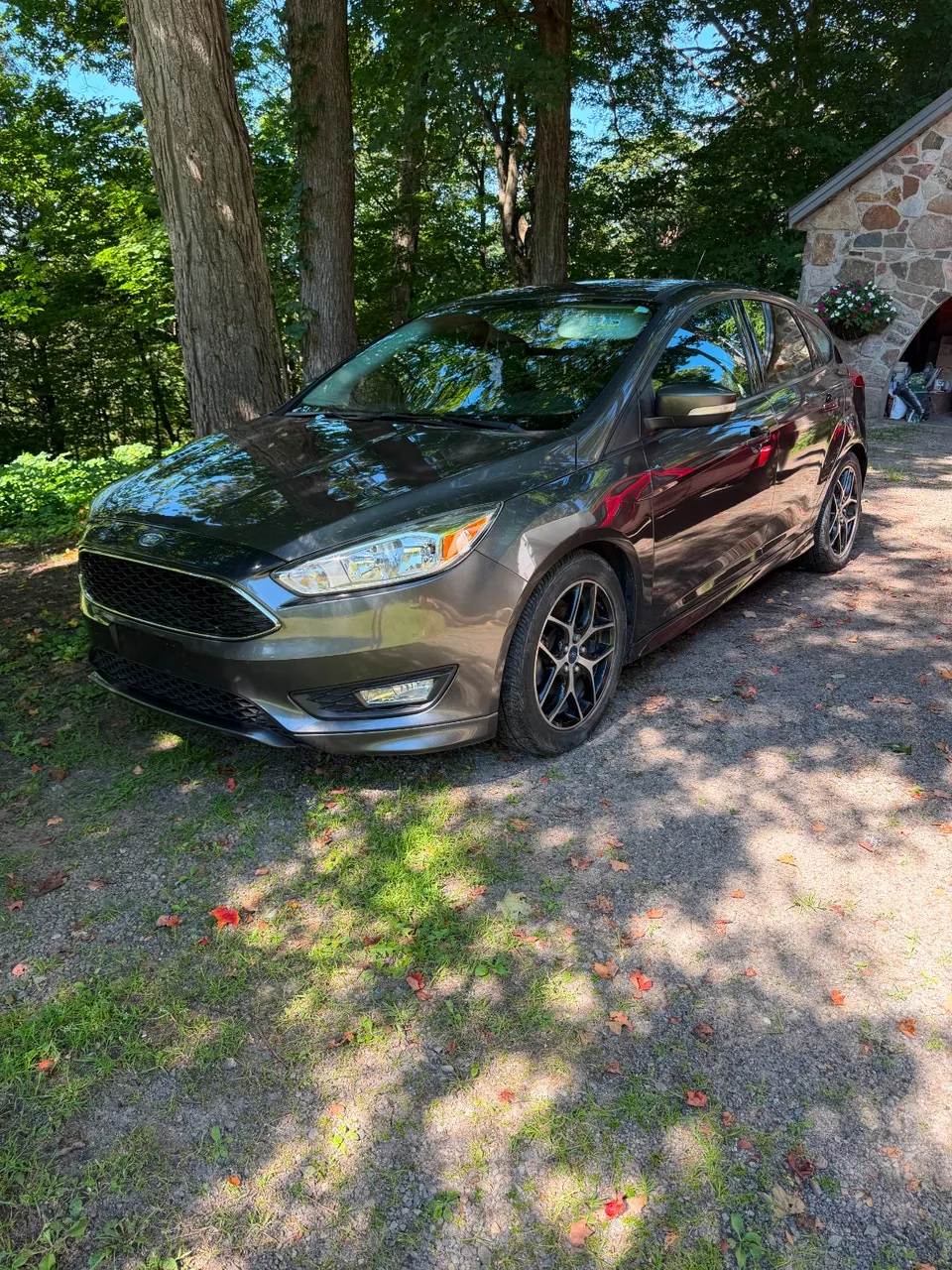 Ford Focus 2016 photo 5
