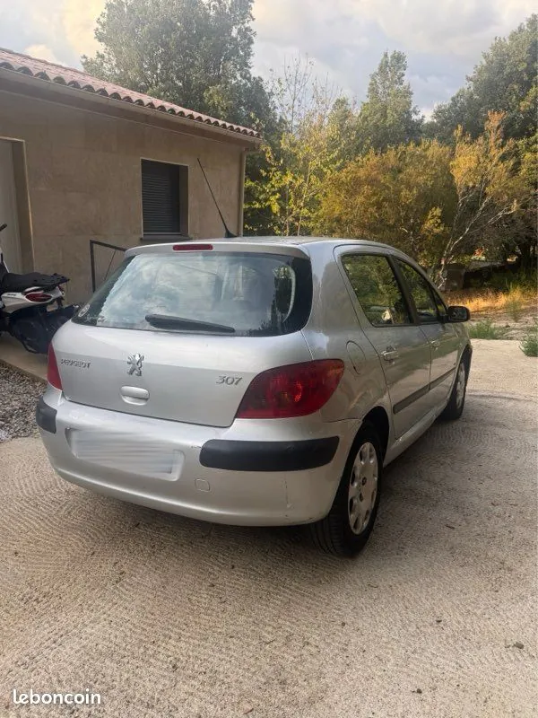 Peugeot 307 2002 photo 2