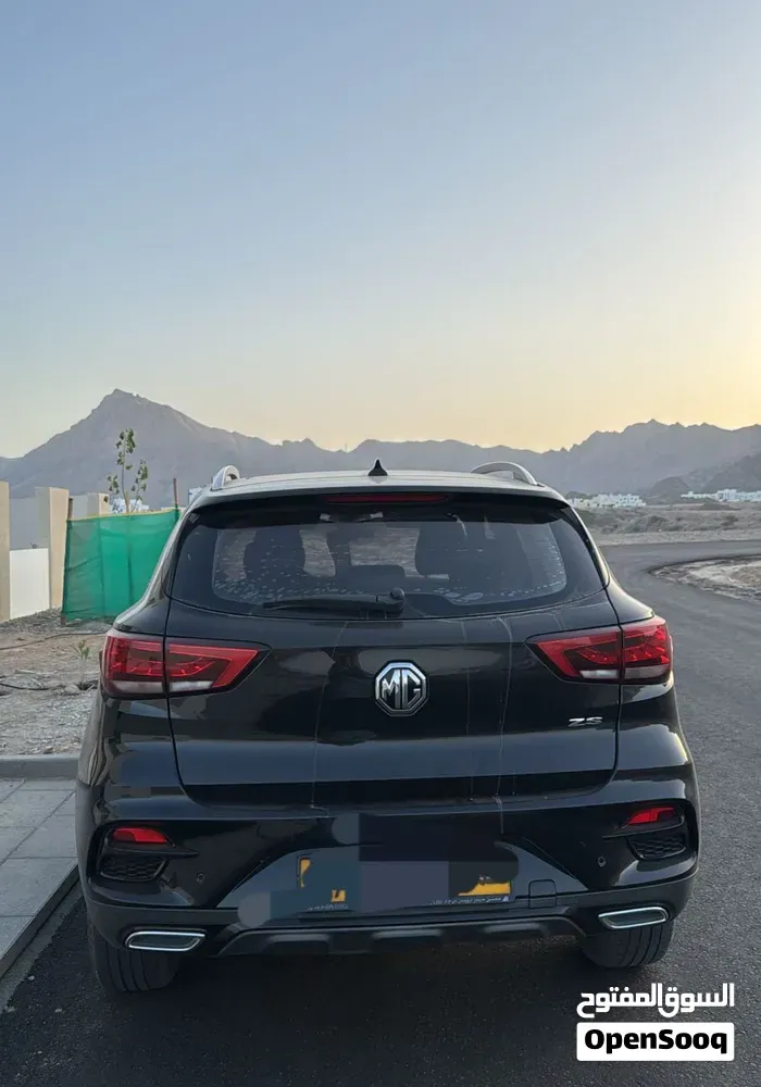 MG Mg Zs