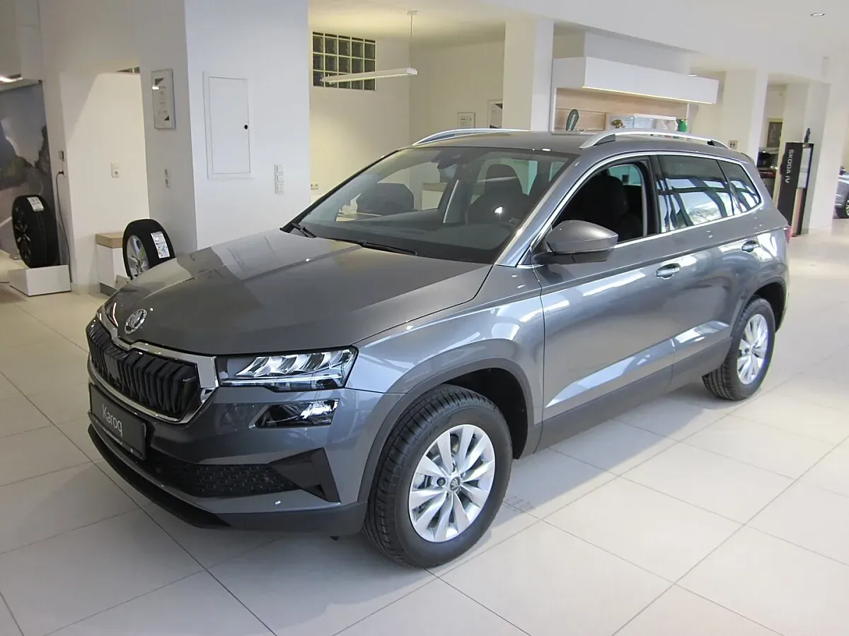 Skoda Karoq 2026 photo 2