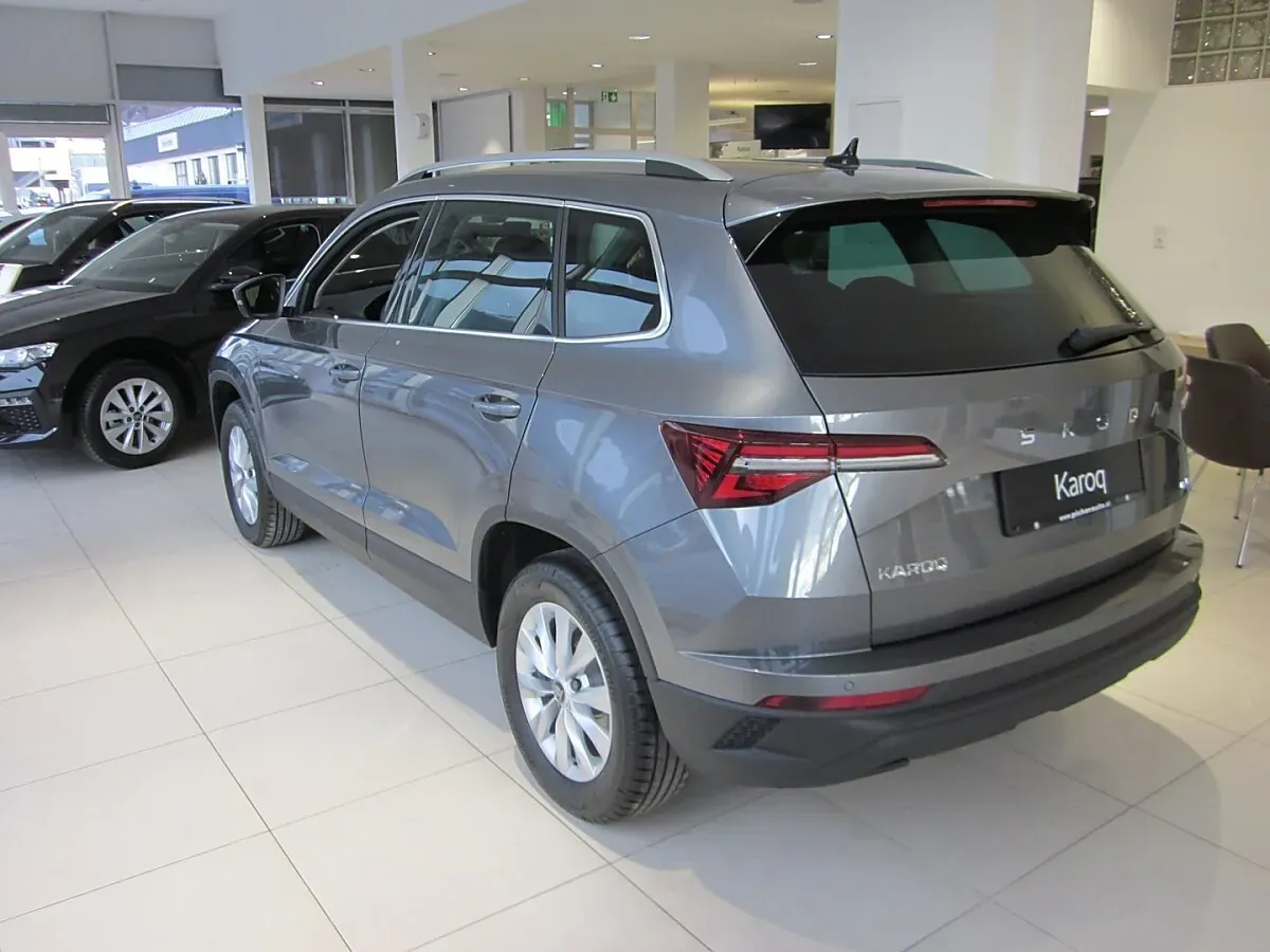 Skoda Karoq 2026 photo 3