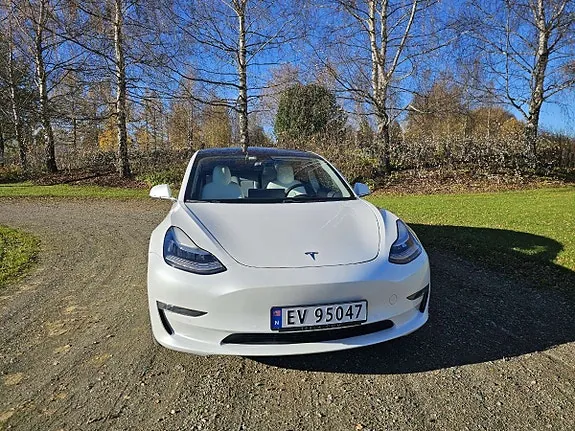 Tesla Model 3 2019 photo 5