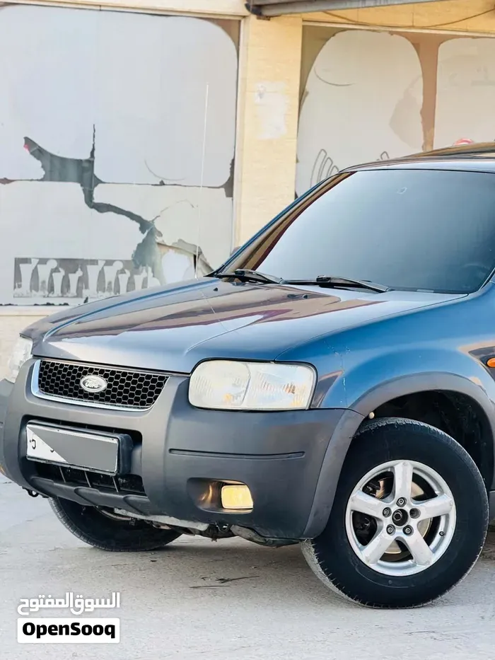 Ford Other