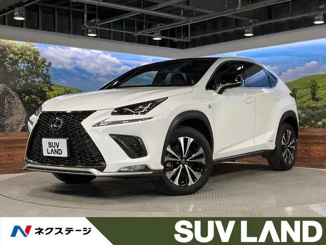 Lexus Nx 300H