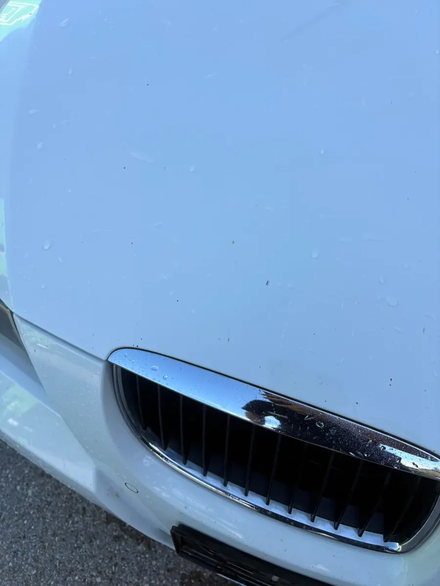 BMW 3 Series 2008 photo 3