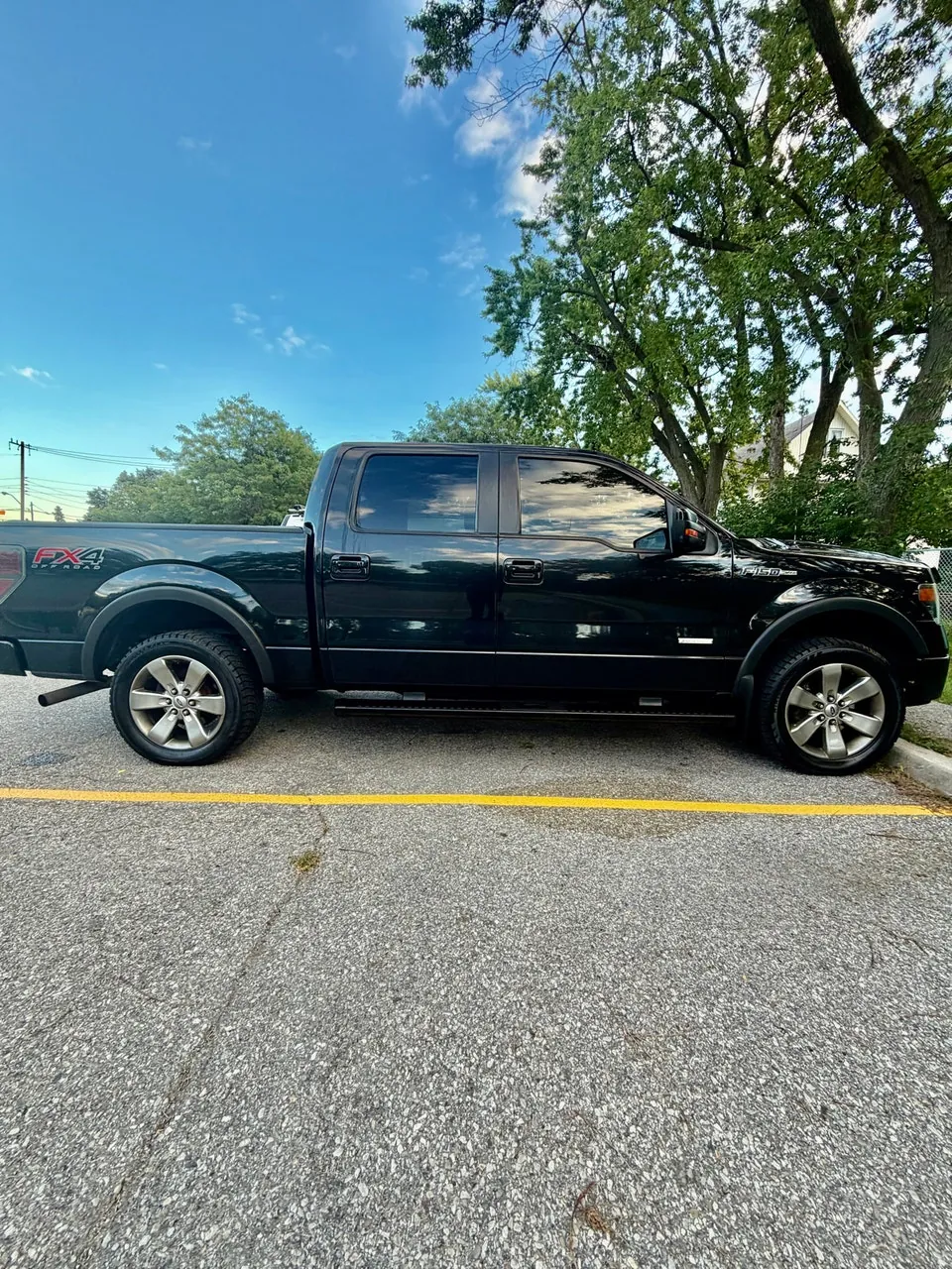 Ford F-150 2013 photo 2