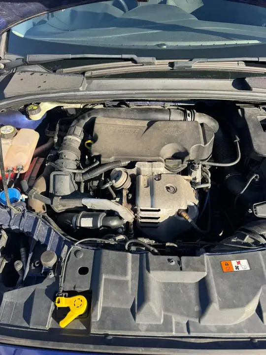 Ford Focus 2014 photo 2