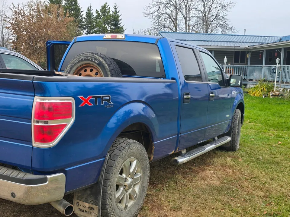 Ford F-150 2014 photo 2