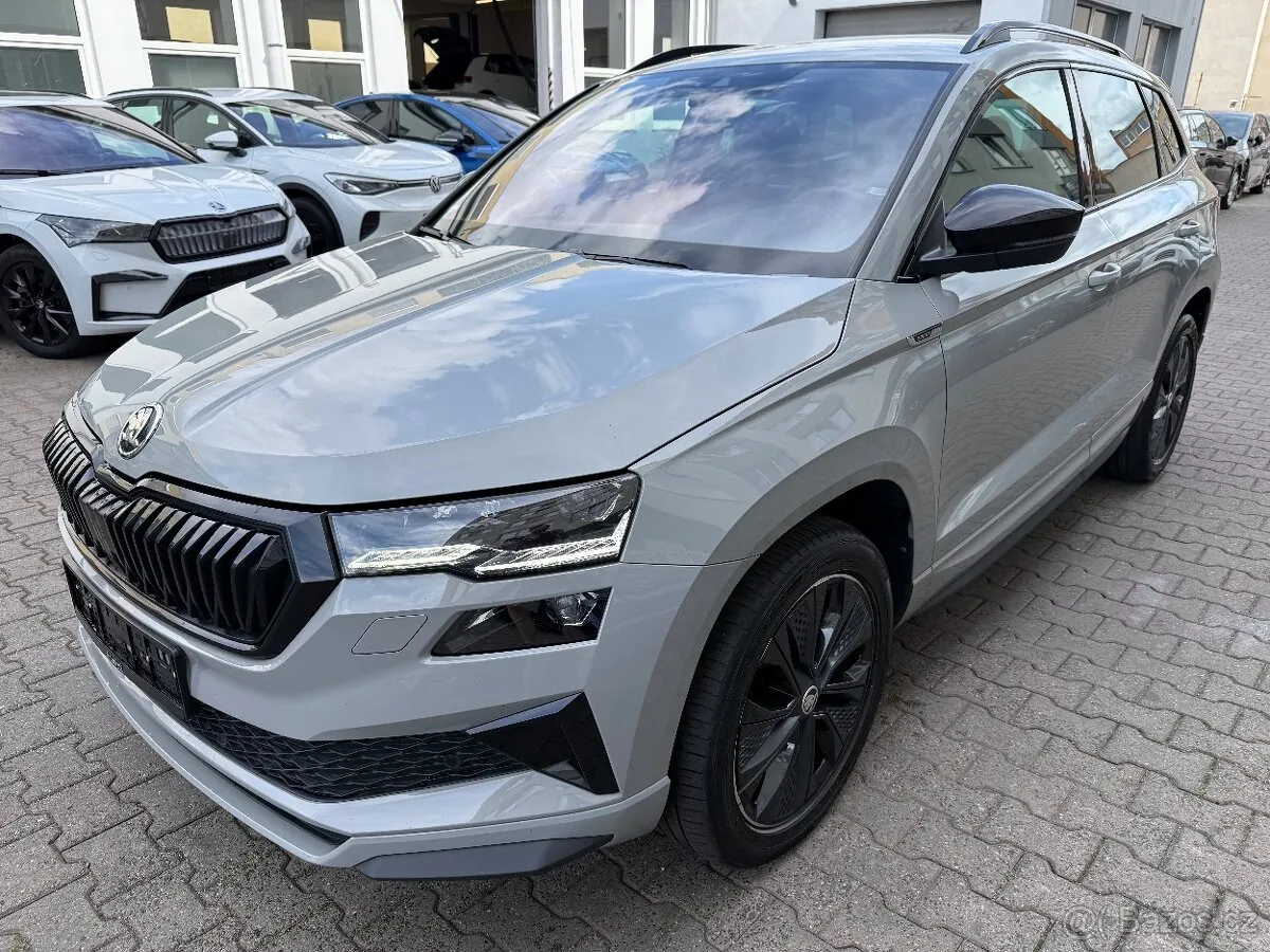 Skoda Karoq 2023 photo 3