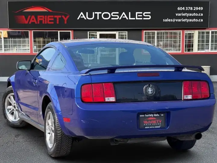 Ford Mustang 2005 photo 3