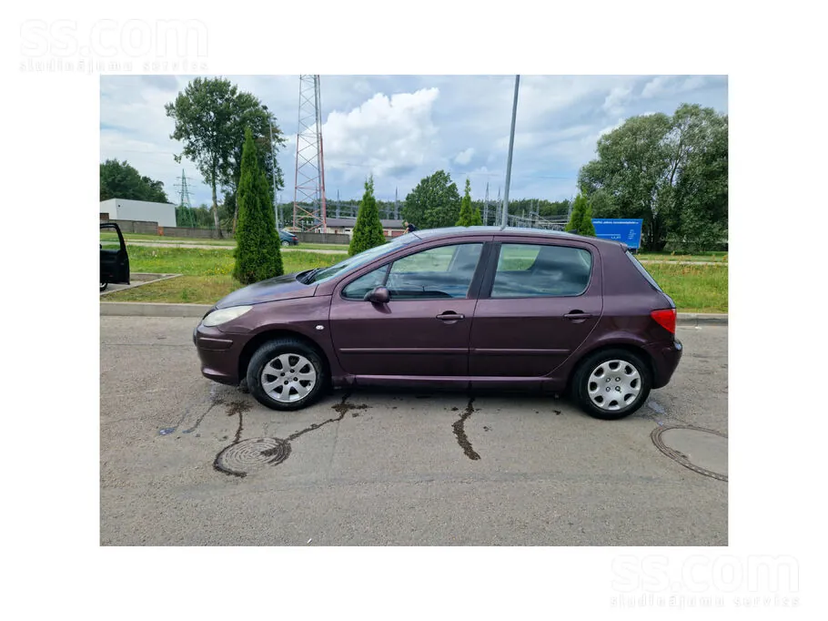 Peugeot 307 2005 photo 3