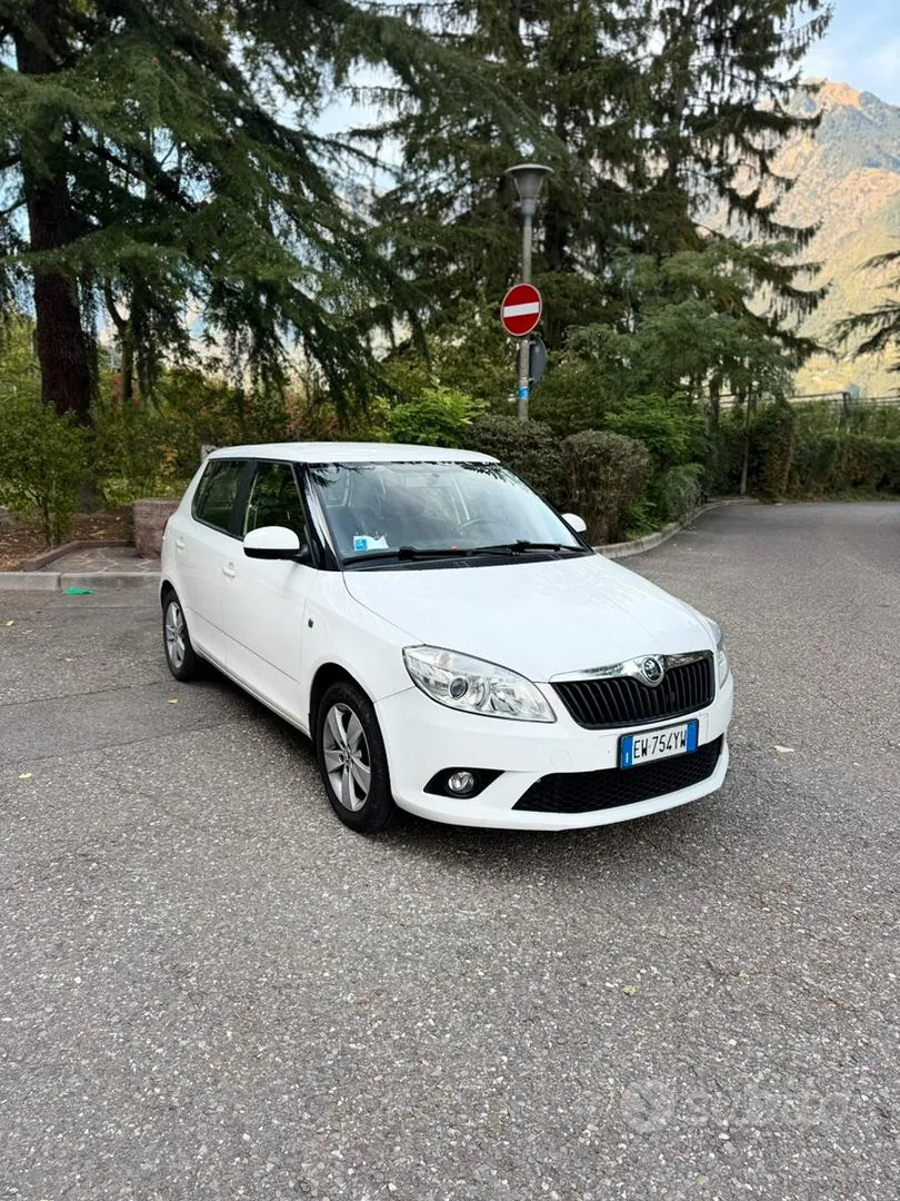 Skoda Fabia 2014 photo 2