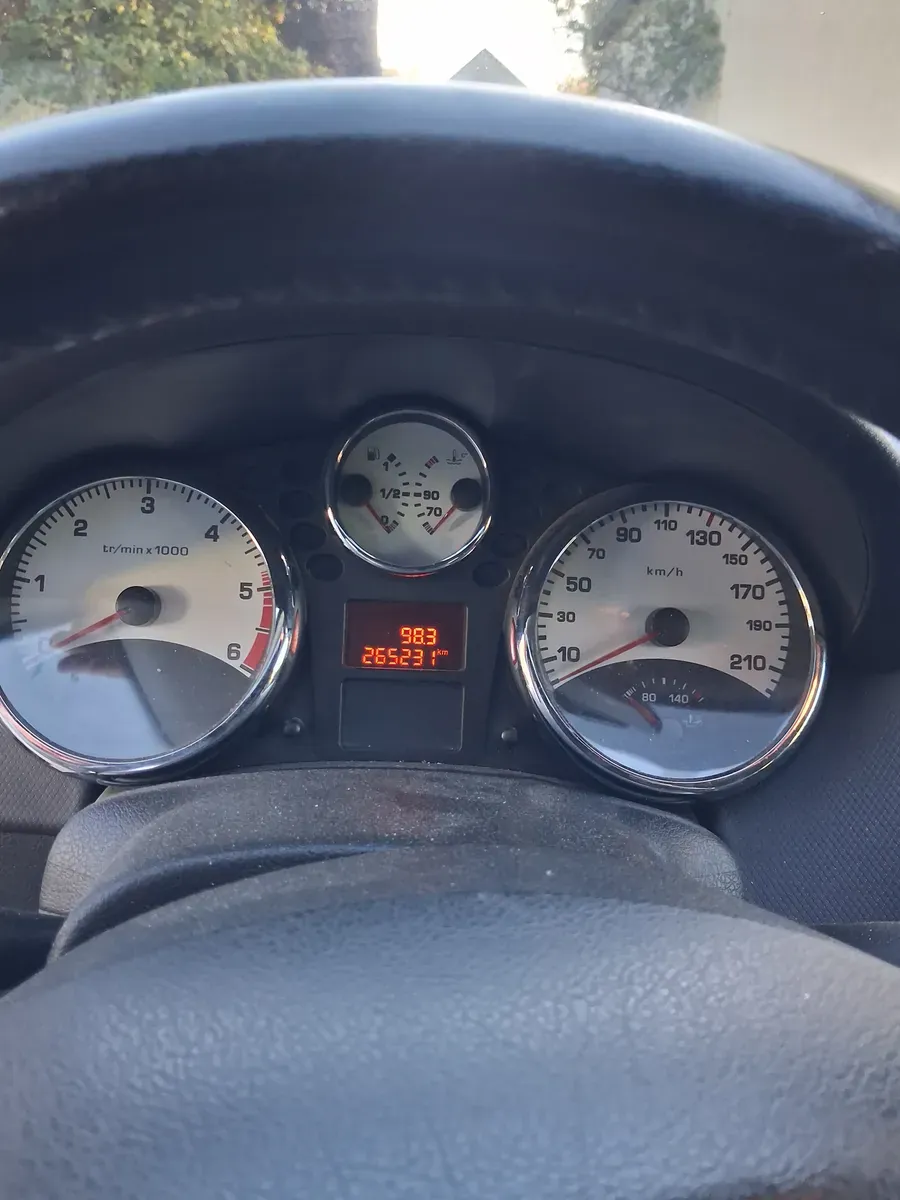 Peugeot 207 2007 photo 3
