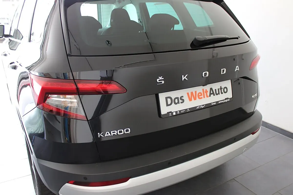 Skoda Karoq 2021 photo 2