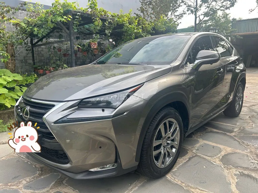 Lexus Nx 2016 photo 4