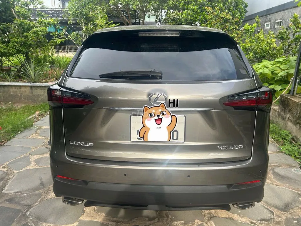 Lexus Nx 2016 photo 2