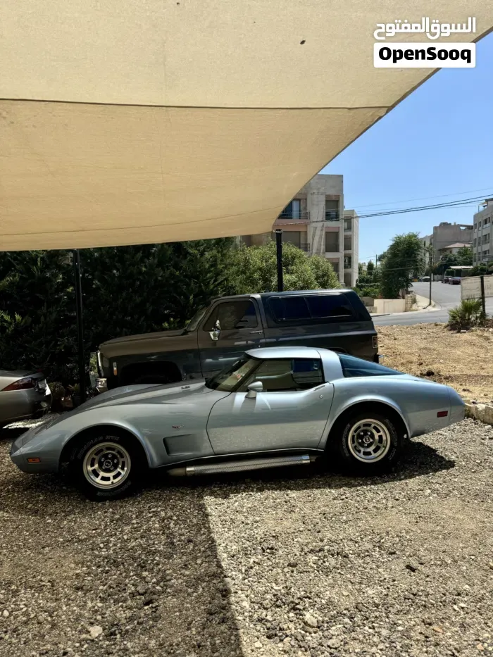 Chevrolet Corvette 1979 photo 3