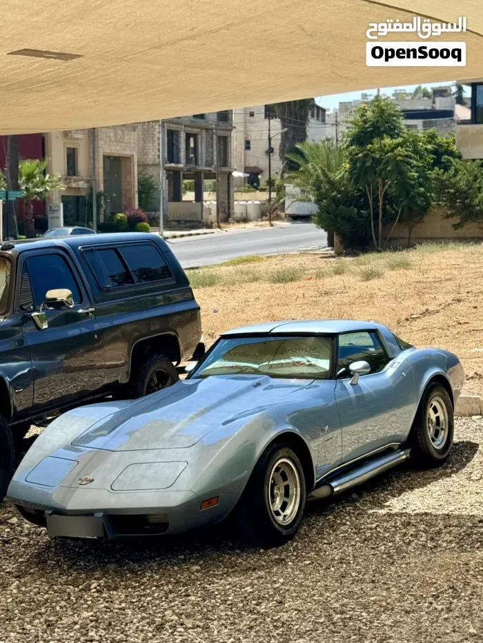 Chevrolet Corvette 1979 photo 2
