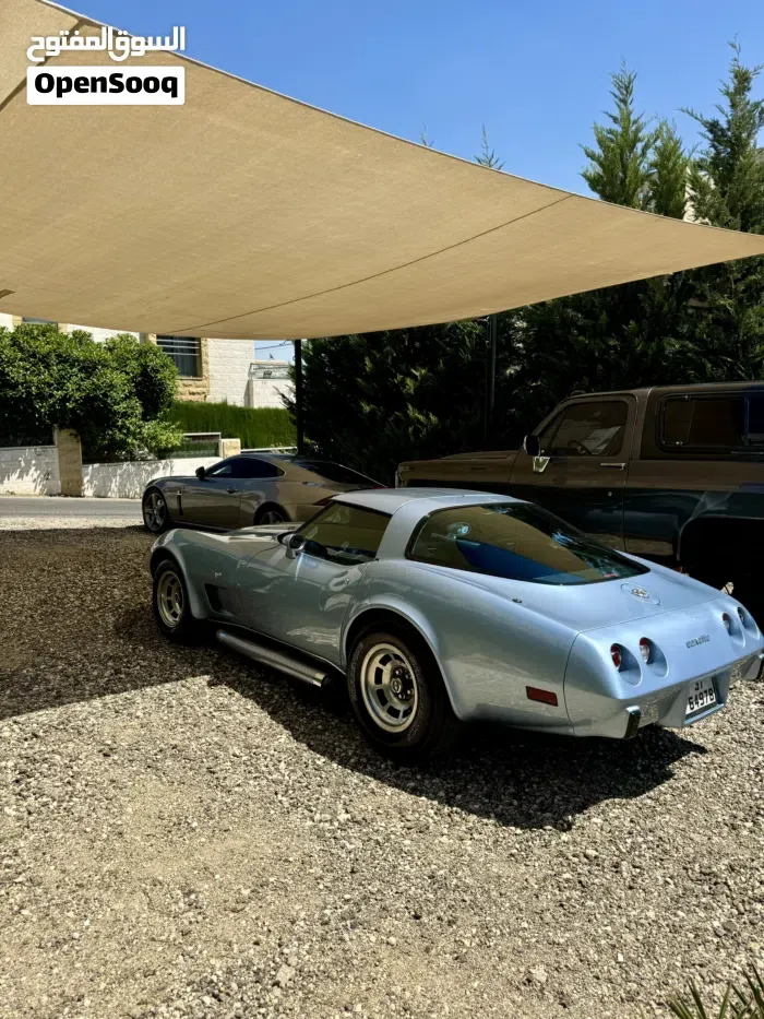 Chevrolet Corvette 1979 photo 4