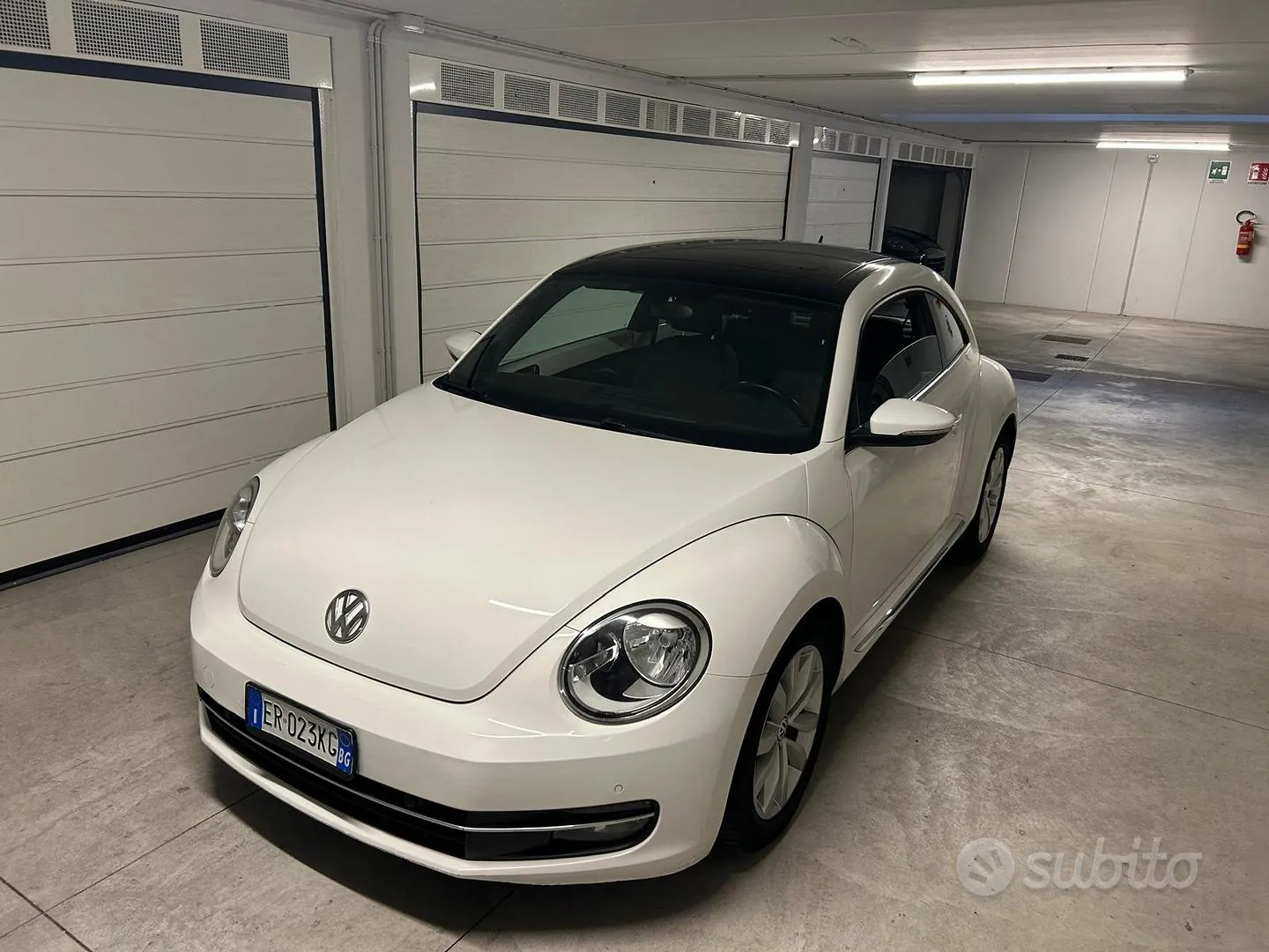 Volkswagen Maggiolino