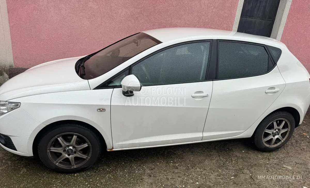 Seat Ibiza 2009 photo 2