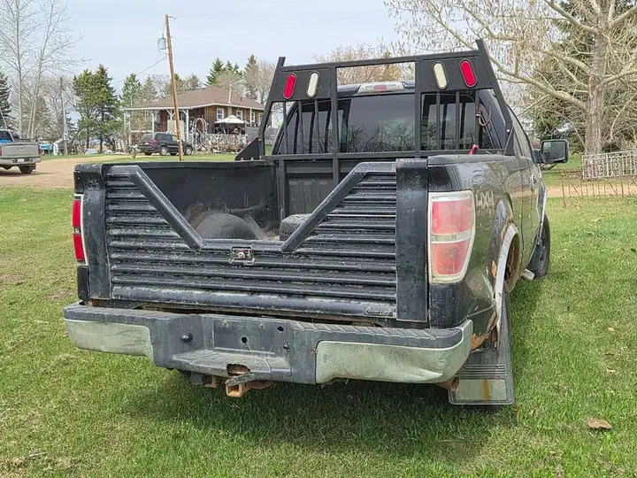 Ford F-150 2009 photo 3