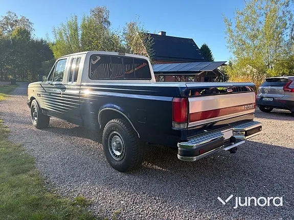 Ford F-150 1989 photo 3
