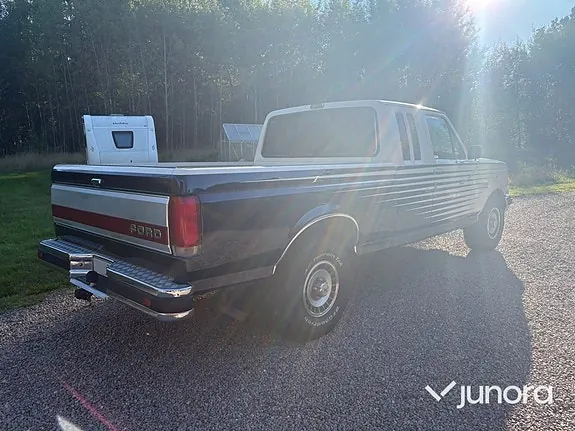 Ford F-150 1989 photo 5
