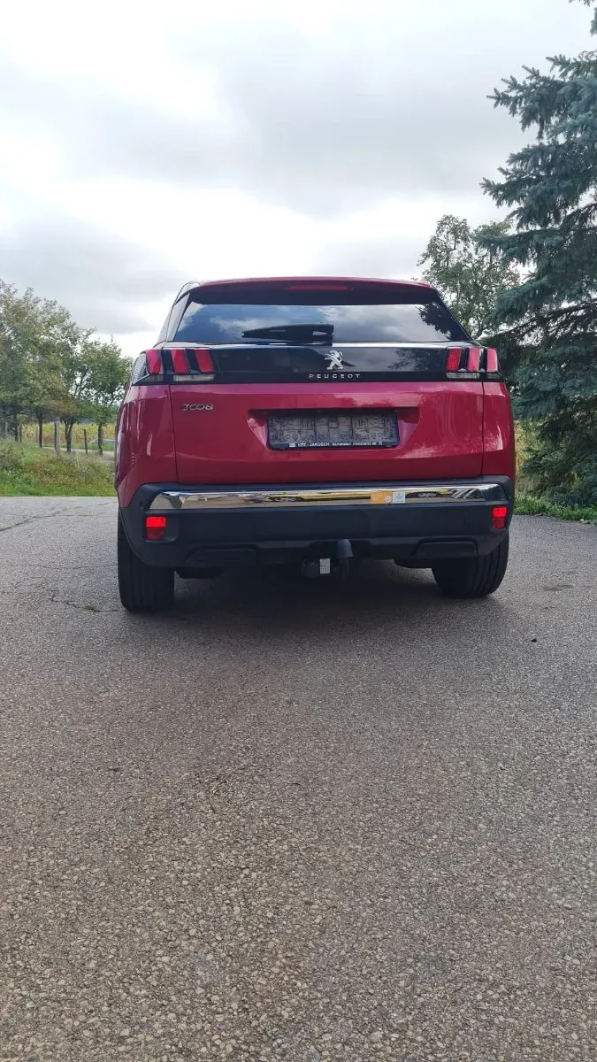 Peugeot 3008 2019 photo 2