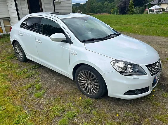 Suzuki Kizashi 2010 photo 3