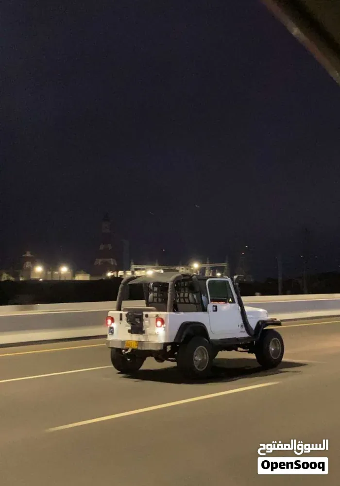 Jeep Wrangler 1992 photo 3
