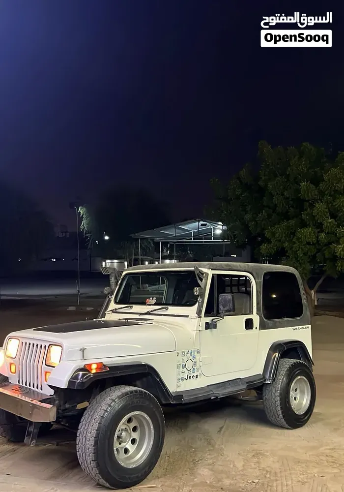 Jeep Wrangler 1992 photo 2
