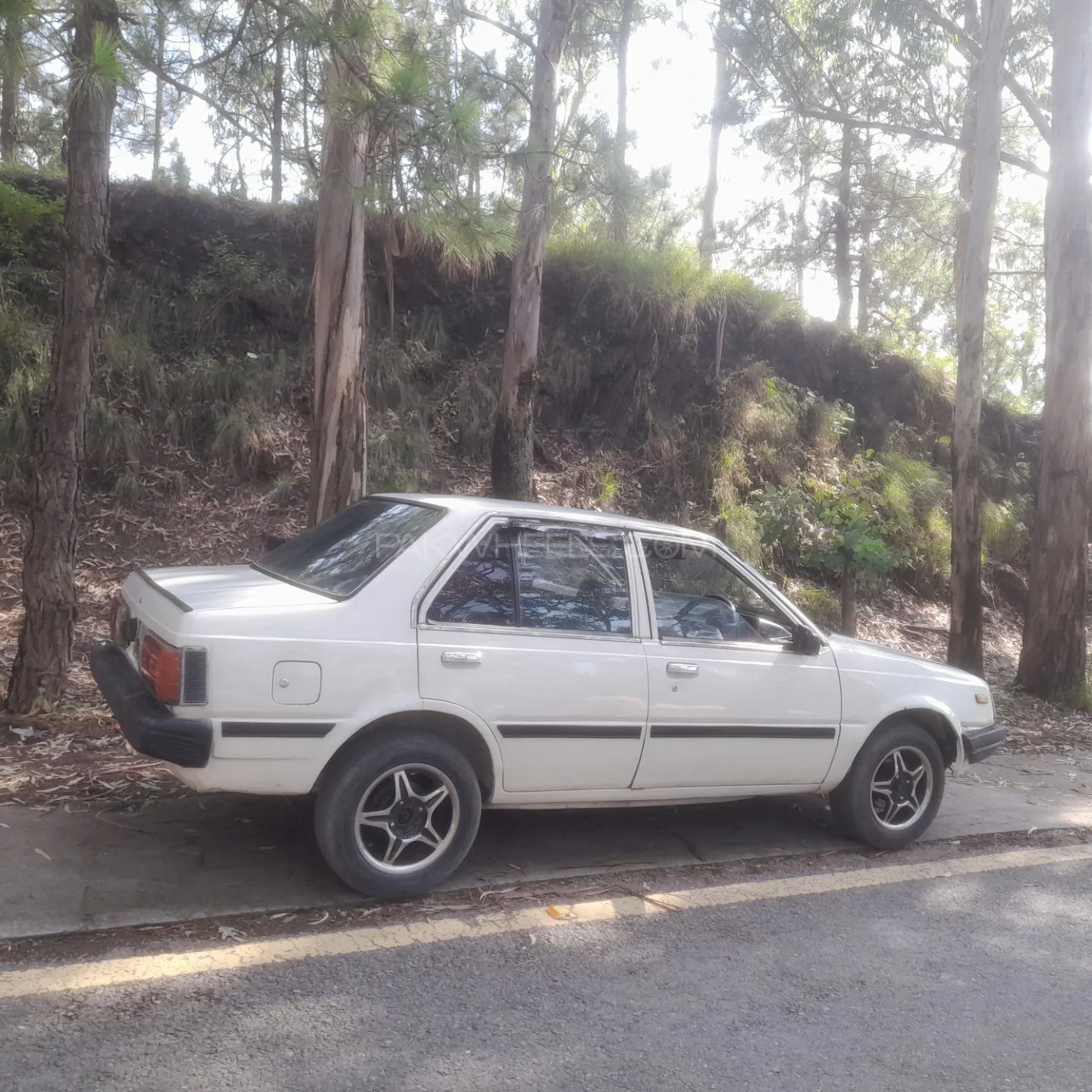 Nissan Sunny