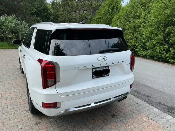 Hyundai Palisade 2021 photo 4