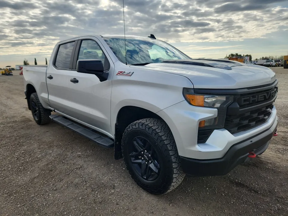 Chevrolet Silverado 1500 2022 photo 2