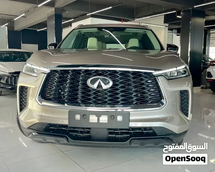 Infiniti Qx60 2025 photo 2