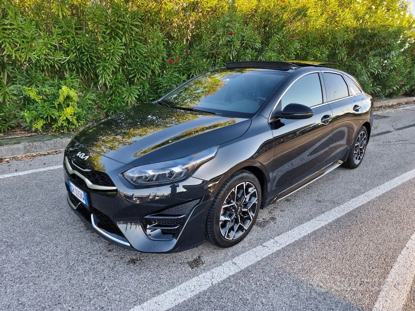 Kia Proceed